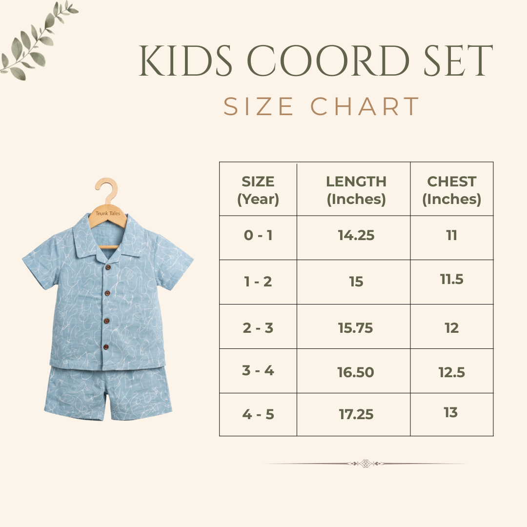 Blue Lines Muslin Coord Set
